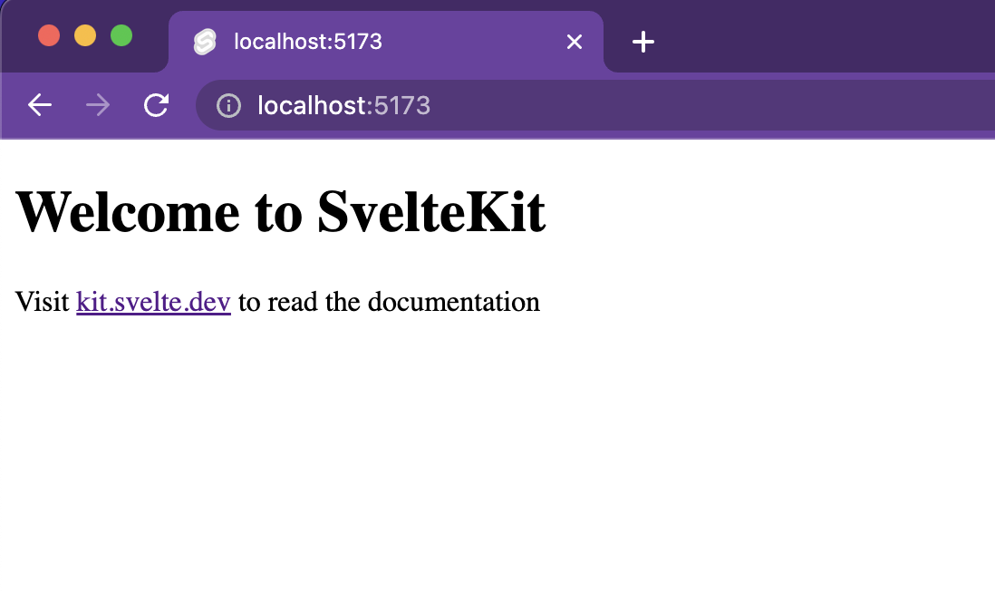 SvelteKit template running in browser